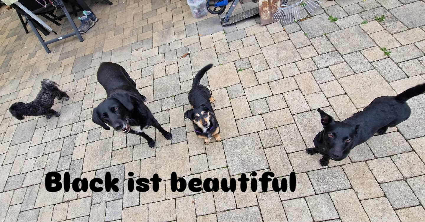 Galeriebild