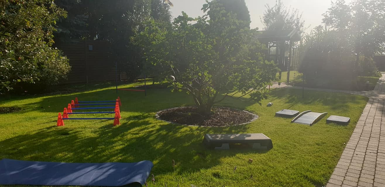 Außengelände und Garten