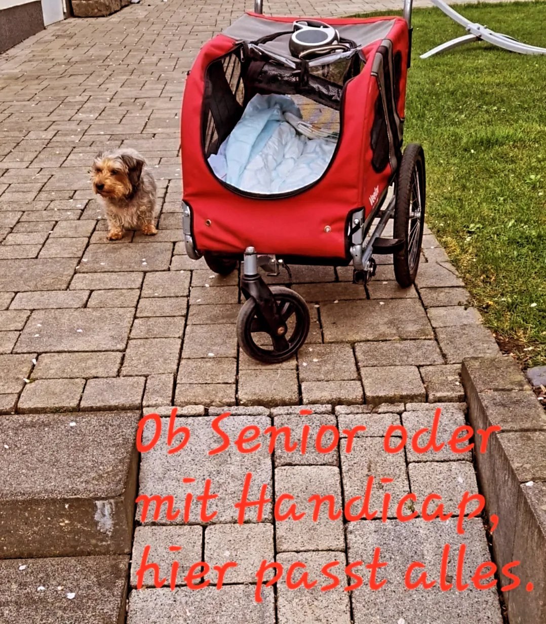 Galeriebild
