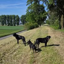 Galeriebild
